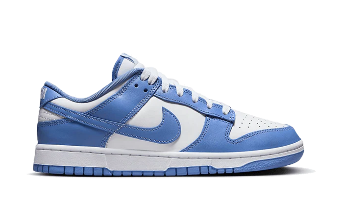 Nike Dunk Low Polar Blue